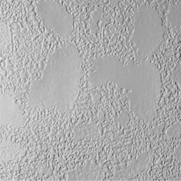 James Hardie HardiePanel Stucco Siding