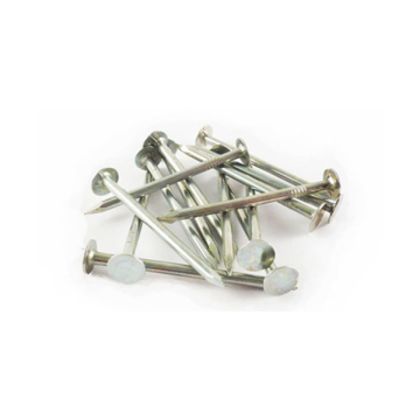 Lakefront EG Galvanized Roofing Nail