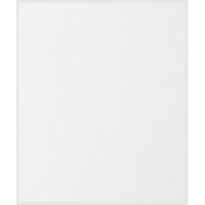 James Hardie Panel Fiber Cement Smooth Siding 48"x120" Arctic White 1pc