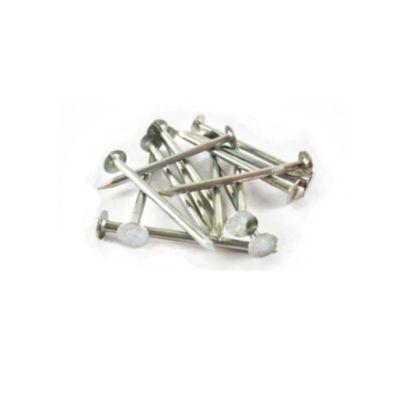 Mazel EG Galvanized 2-1/2" Roofing Nail 5 Lbs Box