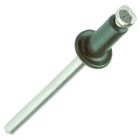 Lakefront 1/8" Stainless Steel Rivets Bag of 100 Evergreen
