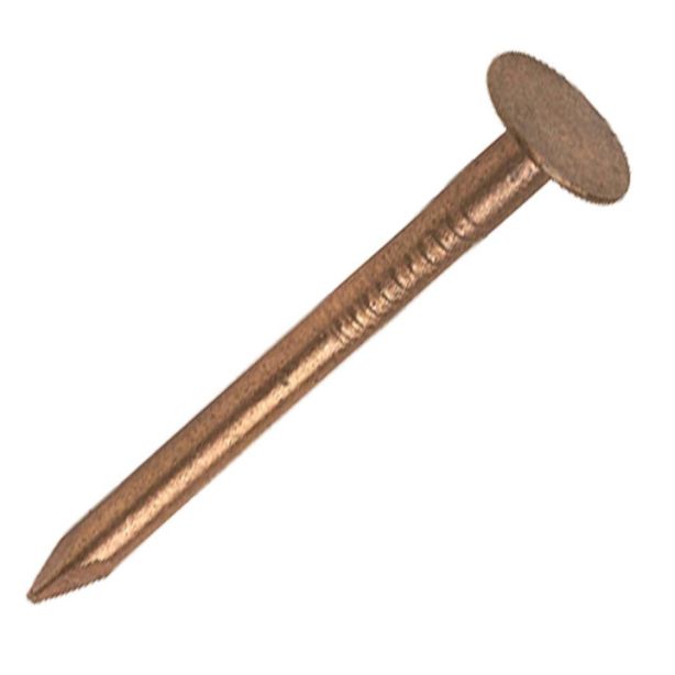 Lakefront Copper Nails 1" 1lb