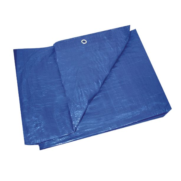 C&R 30'x50' Blue Tarp